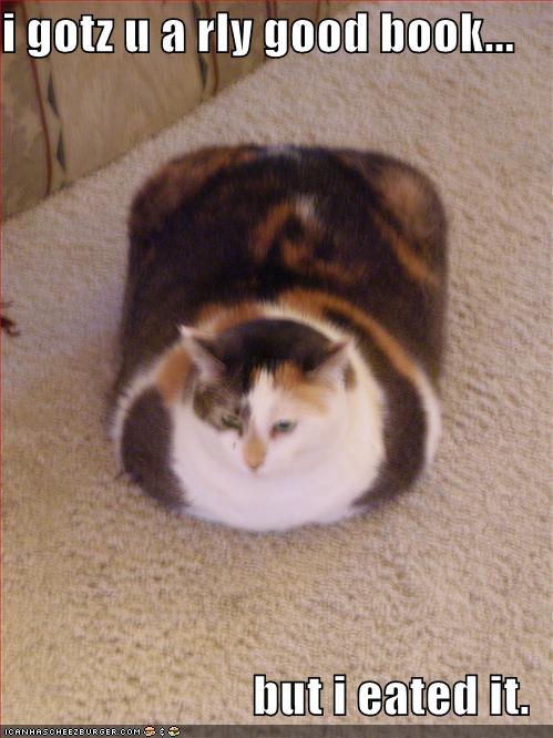 funny fat cat pictures. Funny cat pics